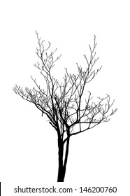 Dead Tree without Leaves Vector Illustration Sketched, EPS 10.