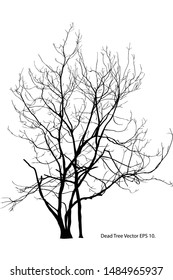 Dead Tree without Leaves Vector Illustration Sketched, EPS 10.