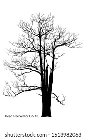 Dead Tree without Leaves Vector Illustration Sketched, EPS 10.
