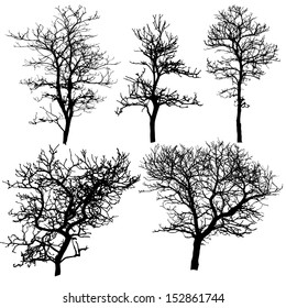 Dead Tree without Leaves Vector Illustration Sketched, EPS 10.