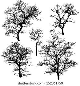 Dead Tree Without Leaves Vector Illustration Sketched, EPS 10.