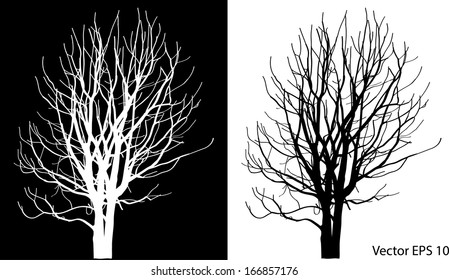Dead Tree without Leaves Vector Illustration Sketched, EPS 10.