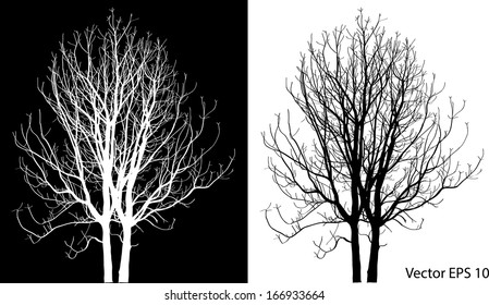 Dead Tree without Leaves Vector Illustration Sketched, EPS 10.