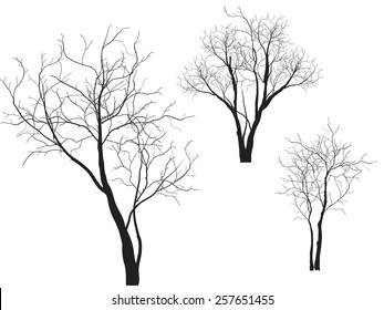 Dead Tree without Leaves Vector Illustration , EPS 10.