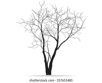 Dead Tree without Leaves Vector Illustration Sketched, EPS 10.