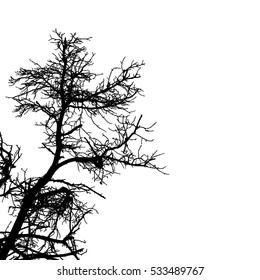 Dead Tree without Leaves Vector Illustration, EPS 10.