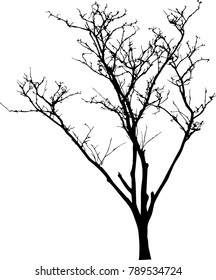 Dead Tree without Leaves Vector