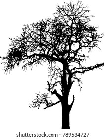 Dead Tree without Leaves Vector