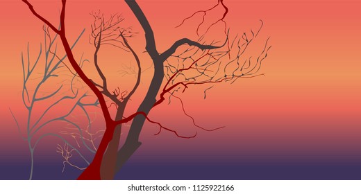 Dead trees at night (dusk) time after sunset (violet / purple, red, orange light) - Concepts of Halloween, Friday the 13th, mystery. Vector illustration, EPS 10. Copy-space for text is on the right.