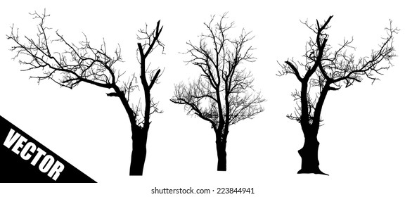 Dead trees on white background, vector illustration