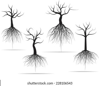 Dead whole black tree with roots isolated white background vector