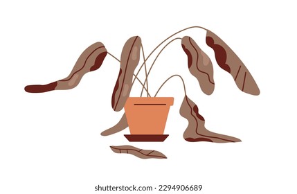 Plantas marchitas muertas en la olla. Hogar enfermo y con problemas de muerte, con hojas secas dañadas, hoja deshidratada. Resultado de una mala atención. Ilustración vectorial plana aislada en fondo blanco