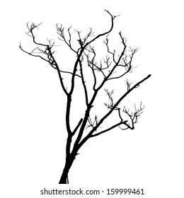 Dead wood with high quality traced on nature silhouette on white for art work decoration, encapsulated postscript vector. 