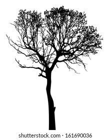 Dead wood with high quality traced on nature silhouette on white for art work decoration, encapsulated postscript vector.