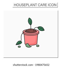 Deadhead flowers color icon. Tied, unhealthy plant in pot. Home gardening. Houseplant care concept.Isolated vector illustration