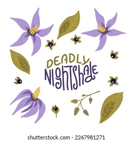 Deadly nightshade flowers, leaves, buds and berries with handwritten flower name. Set of hand drawn vector floral elements.