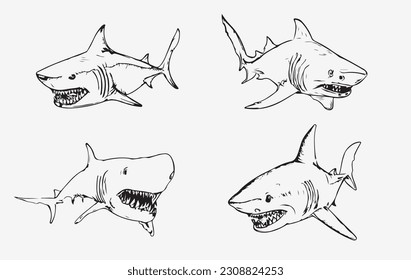 Deadly Shark sketch line art vector 