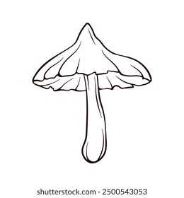 Deadly Webcap mushroom in line art style. Mature mushroom with a wide cap. Autumn design. Vector illustration isolated on a white background.