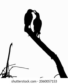Dear birds on the tree branch. Couple birds talking. Vector birds and tree branch drawing.