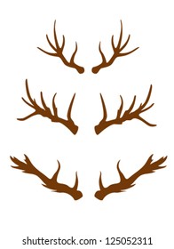 dear horns