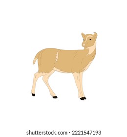 dear illustration vector and clip art  image 