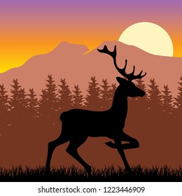 dear with mountain sunset in behind