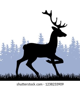 dear with pine forest in behind