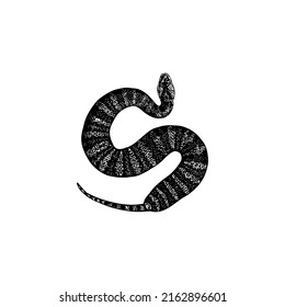 Death Adder hand drawing vector illustration isolated on white background