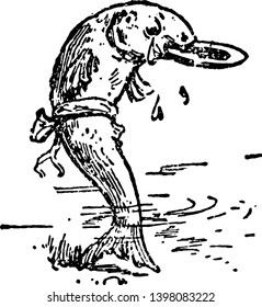 A morte e enterro de Robin esta cena mostra bacalhau na água e segurando algo na boca e lágrimas caindo de olhos vintage linha desenho ou gravura ilustração