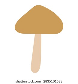 Death cap. Hand drawn vector flat. Poisonous inedible mushroom. Forest nature. Autumn season. Flora, botany. Color illustration.