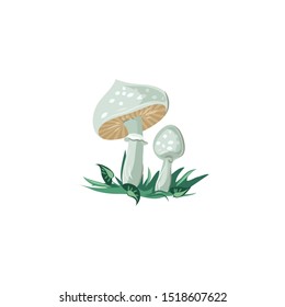 Death cap mushrooms vector illustration in flat cartoon style.