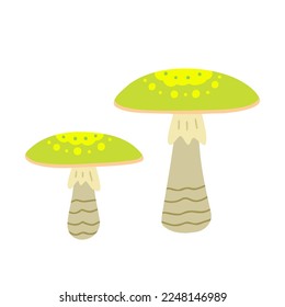 Death cap. retro mushrooms. Vector Illustration for printing, backgrounds, covers and packaging. Image can be used for greeting cards, posters, stickers and textile. Isolated on white background.