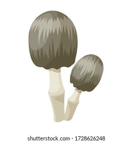 Death cap vector icon.Cartoon vector icon isolated on white background death cap.