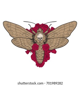 Death head hawk moth with red roses in retro vintage style. Design template for tattoo, print, cover. Vector illustration. 