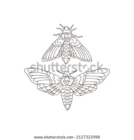 Death head hawkmoth colouring page vector illustration set isolated on white. Boho Moon moth nocturnal fly insect print collection for Halloween or tee shirt design. ストックフォト © 