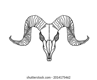 death's head of goat with big horns line art isolated hand drawn tattoo sketch stock vector illustration