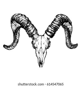 9,385 Goat tattoo Images, Stock Photos & Vectors | Shutterstock