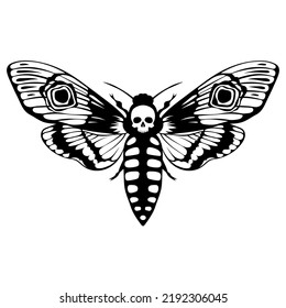 Death's head hawk moth. Acherontia atropos butterfly design, hand drawn vector illustration