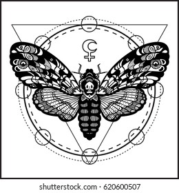 Deaths head hawk moth butterfly. Vector hand-draw illustration. Design tattoo art. Alchemical symbol
