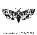 Death's head hawk moth hand drawn vector illustration.  Acherontia atropos butterfly.