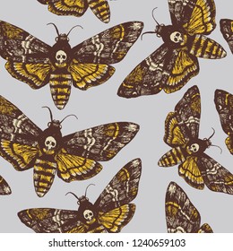 Deaths Head Moth print by Justin Gedak  Posterlounge