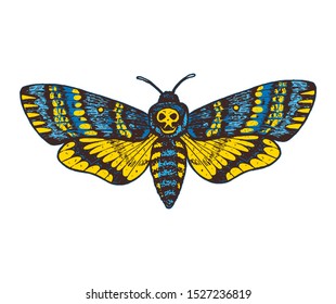 Death's head hawk moth hand drawn vector illustration.  Acherontia atropos butterfly.