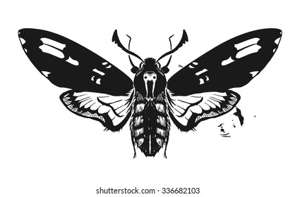 Deaths head hawk moth hand drawn ink silhouette. Design tattoo art. Elegant Isolated vector illustration. 