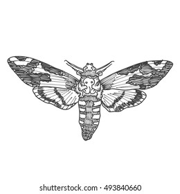 Death's head hawk moth. Hand drawing of hawkmoth. Trendy vintage element. Dark romance, magic, spirit, occultism, death, magic. Witchcraft magic, occult attribute decorative element.