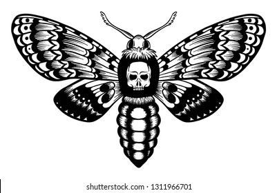 Death's head hawk moth with skull. element of black magic, alchemy, occultism, vintage engraving style, isolated on white background