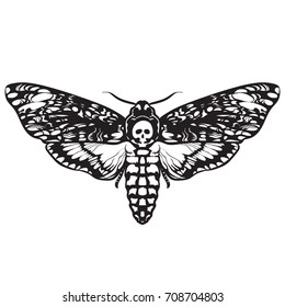 Death's-head Hawk Moth. Black And White Halloween Decoration. Hand Drawn Vector Illustration Isolated On White Background. Skull Moth Butterfly Design For Tattoo, T-shirt Print, Poster, Coloring Book.