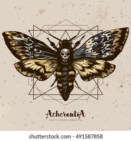 Death's-head hawk moth and sacred geometry lines. Hand drawn vector ink illustration in trendy engraved style. Moth design tattoo sketch. Vintage drawing for t-shirt print, poster, coloring book.