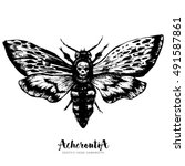 Death's-head hawkmoth. Hand drawn vector ink illustration in trendy engraved style. Moth design tattoo sketch. Vintage drawing for t-shirt print, poster, coloring book.