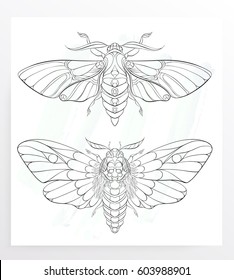 Death's-head hawkmoth. Patterned moth on the grunge background. Ornate butterfly. Papillon. Tattoo design. It may be used for design of a t-shirt, bag, postcard, a poster and so on.  