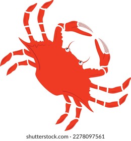 decapod crustaceans concept, Dungeness crab Cancridae vector design, Sea Food symbol, Underwater Animals aquatic Common species illustration